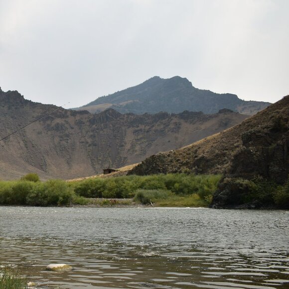 Meet your Posher, Felix - Picture 1 of 1